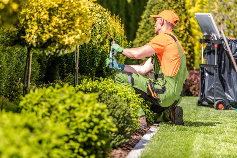 Landscape Repair