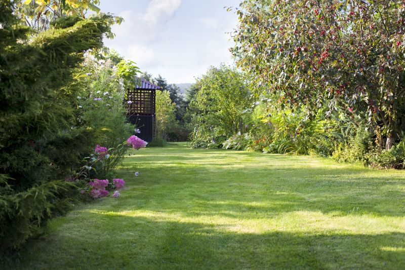 Landscape Repair