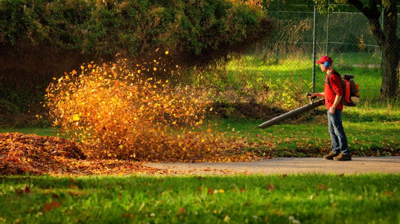 Professional Equipment for Leaf Removal