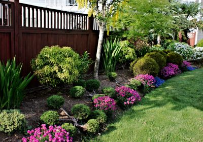 Summer Landscape Repairs