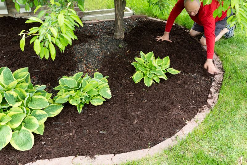 Mulching and Ground Cover